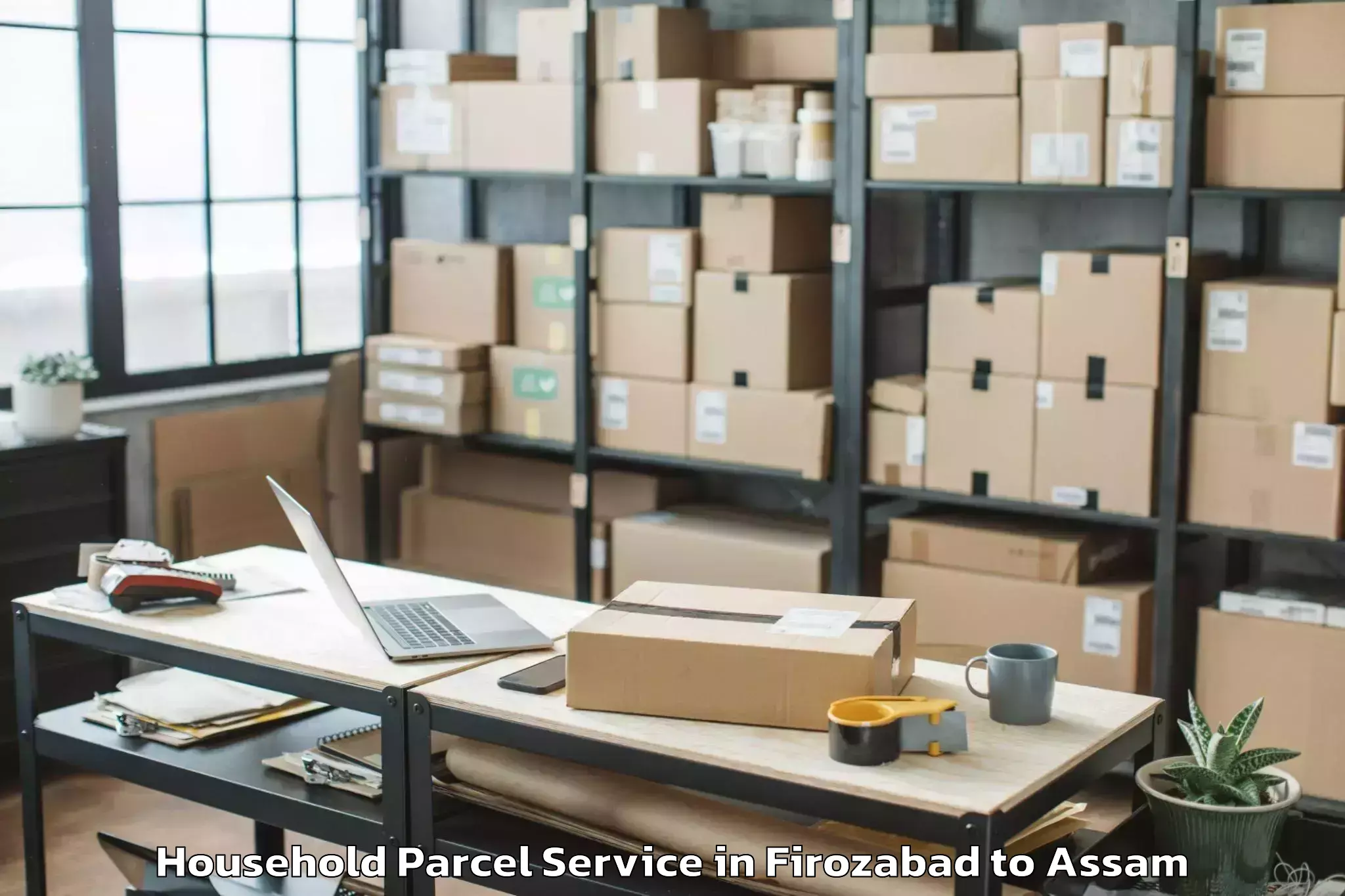 Hassle-Free Firozabad to Kalgachia Household Parcel